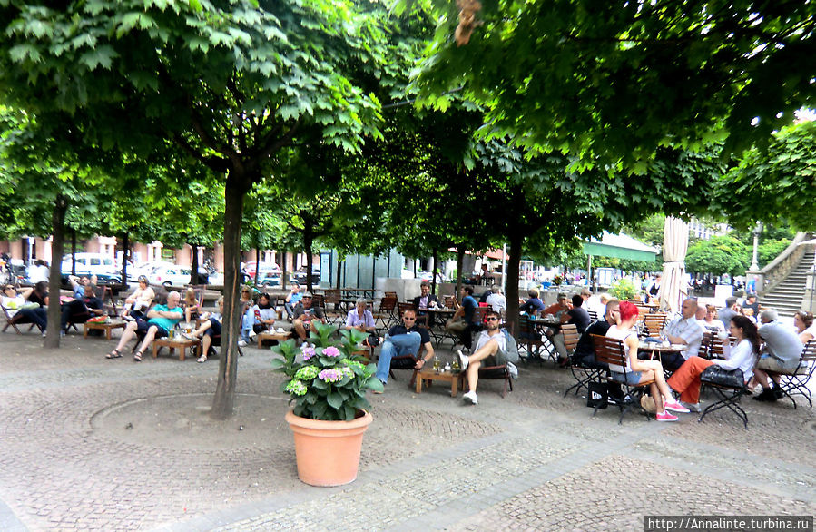 Разомлевшие местные жители. Разомлевшие местные жители.