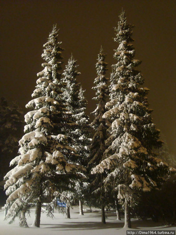 Зимняя сказка в Иматре Иматра, Финляндия