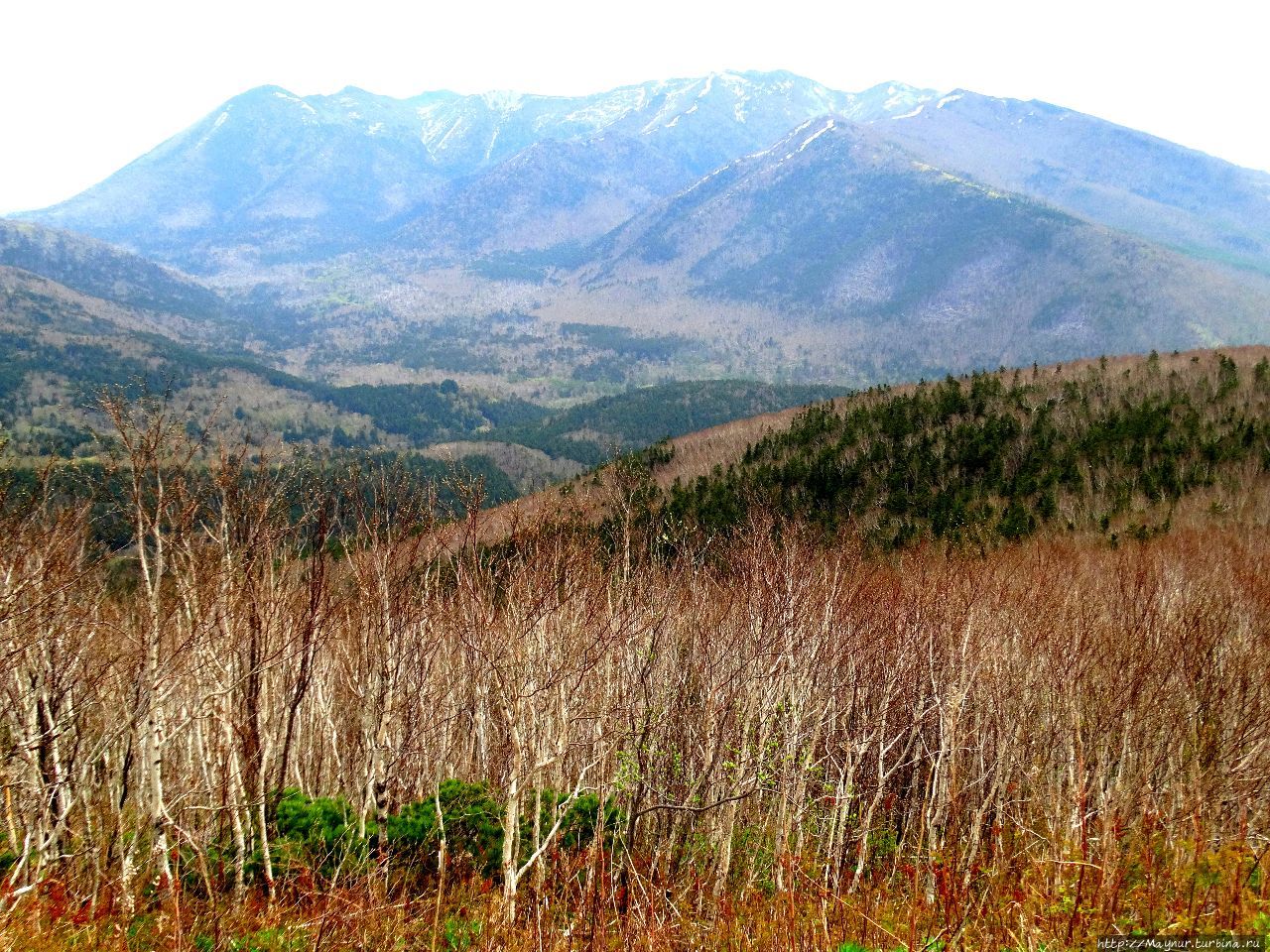 А из нашего окна гора А из нашего окна гора