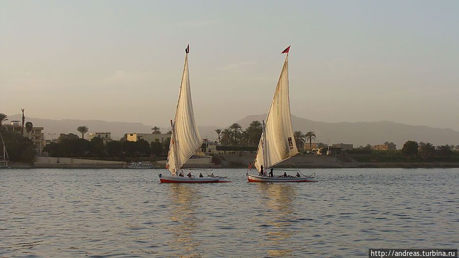 Этот парус не одинокий )) Этот парус не одинокий ))