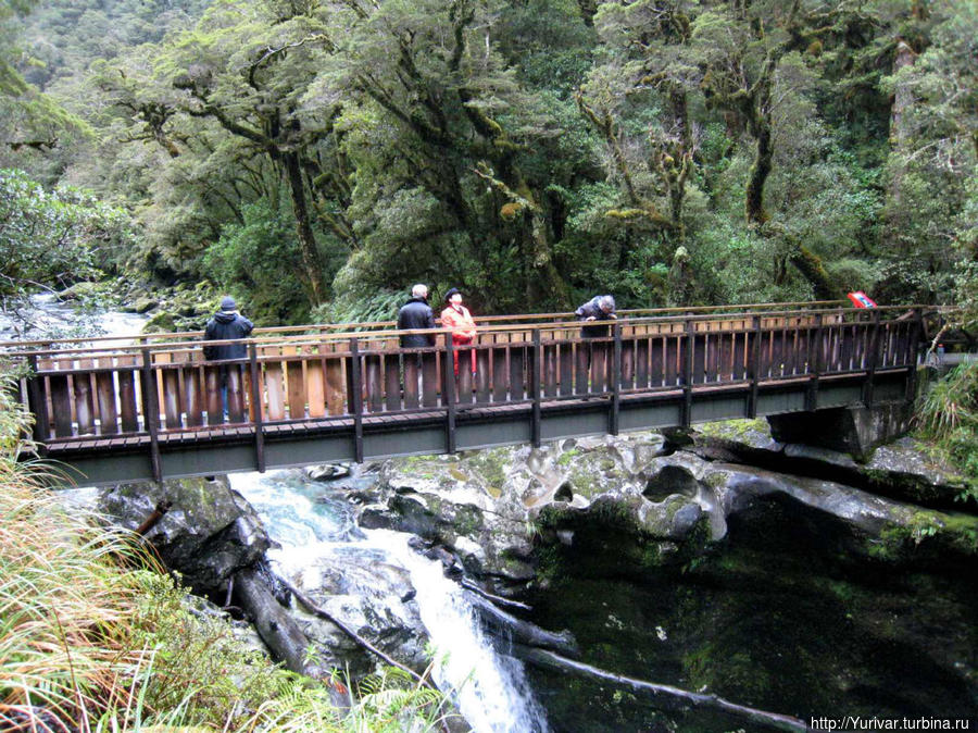 Речка Кледау стала знаменитой, уйдя вглубь Земли и образовав The Chazm Фьордленд Национальный Парк, Новая Зеландия