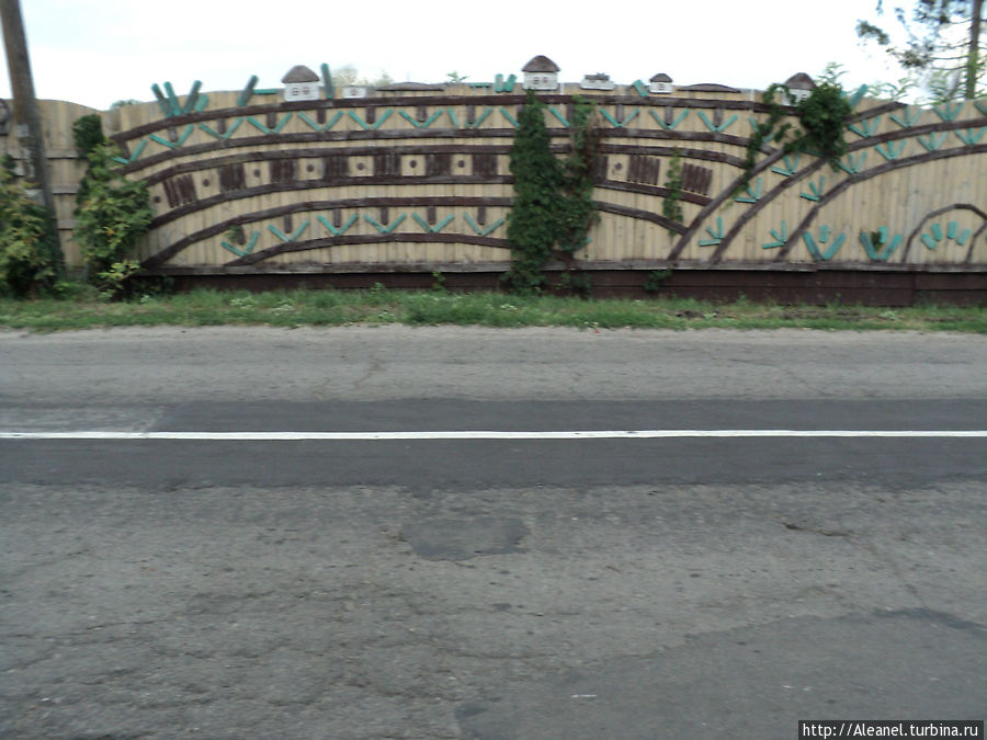 один умелец украсил свой забор Киев, Украина