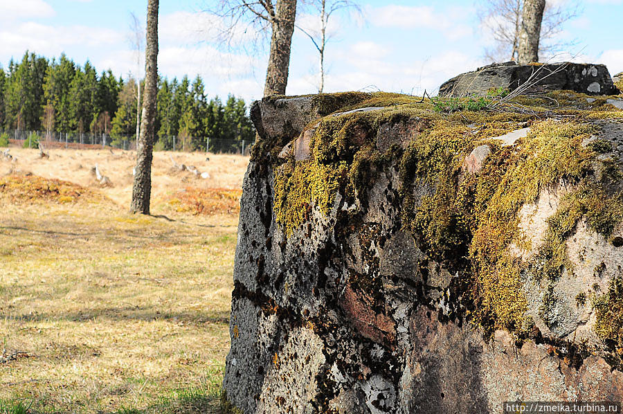 Вдалеке древнее языческое кладбище железного века Округ Крунуберг, Швеция