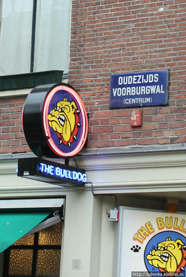Сеть кофешопов “Bulldog” в Амстердаме.
Деятельность кофешопов регулируется «Опиумным законом» под контролем наркотической полиции Нидерландов. Амстердам, Нидерланды
