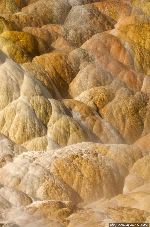 Калейдоскоп пейзажей Йеллоустоуна с акцентом Йеллоустоун Национальный Парк, CША