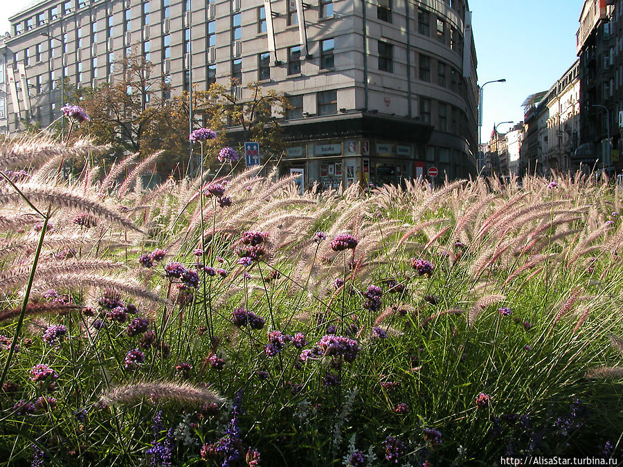 Легенды осени Прага, Чехия Легенды осени Прага, Чехия