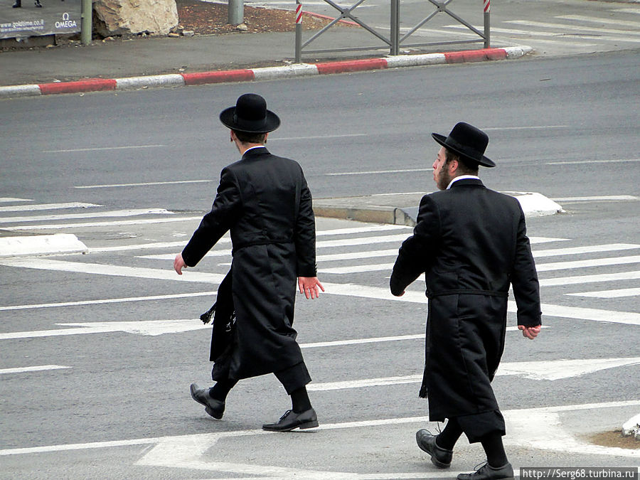 Ортодоксы Ортодоксы