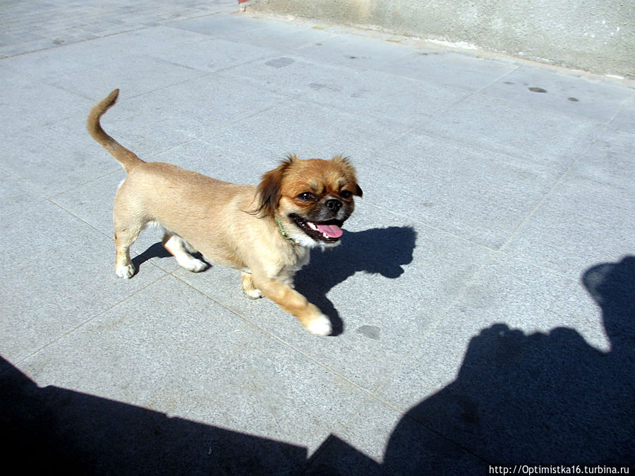 Дидим в конце октября Дидим, Турция Дидим в конце октября Дидим, Турция