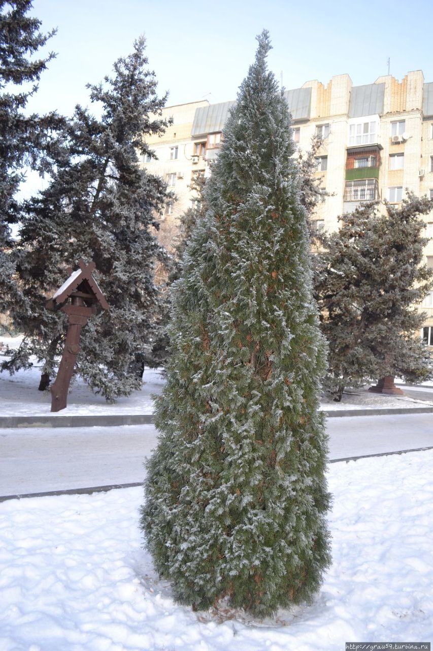 Городской парк культуры и отдыха 