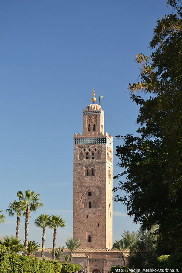 Самым известным символом Марракеша считается минарет мечети Кутубия, самое высокое здание в городе. Расположена в центре исторического квартала. Мечеть действующая, и ежедневно по пятницам жители собираются здесь на молитву. Воздвигнута мечеть Кутубия была во времена правления халифа Якуба аль-Мансура из династии Альмохадов, жившего в конце XII века. Самым известным символом Марракеша считается минарет мечети Кутубия, самое высокое здание в городе. Расположена в центре исторического квартала. Мечеть действующая, и ежедневно по пятницам жители собираются здесь на молитву. Воздвигнута мечеть Кутубия была во времена правления халифа Якуба аль-Мансура из династии Альмохадов, жившего в конце XII века.