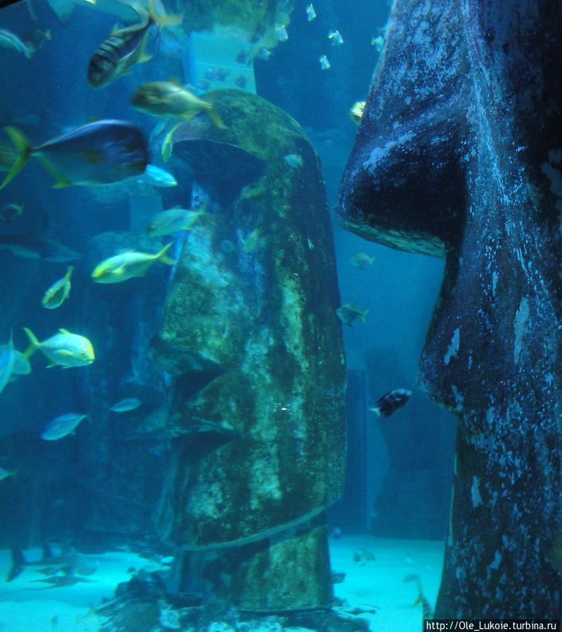 Вот такая Sea Life в Лондоне ! август 2012 Лондон, Великобритания