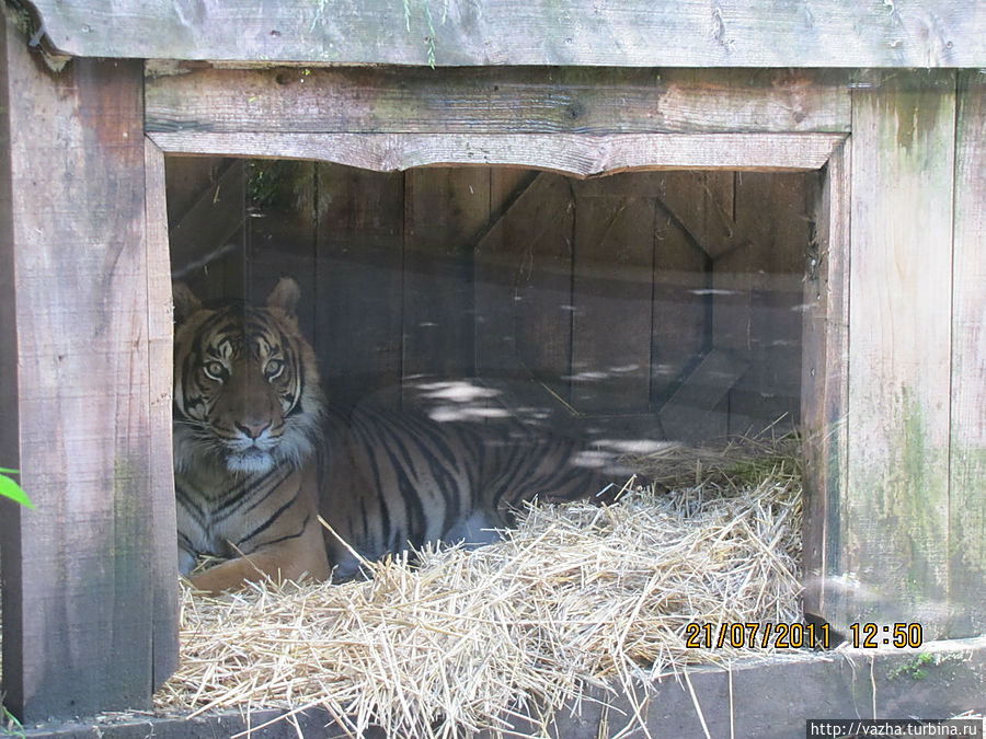 Шерхан Шерхан