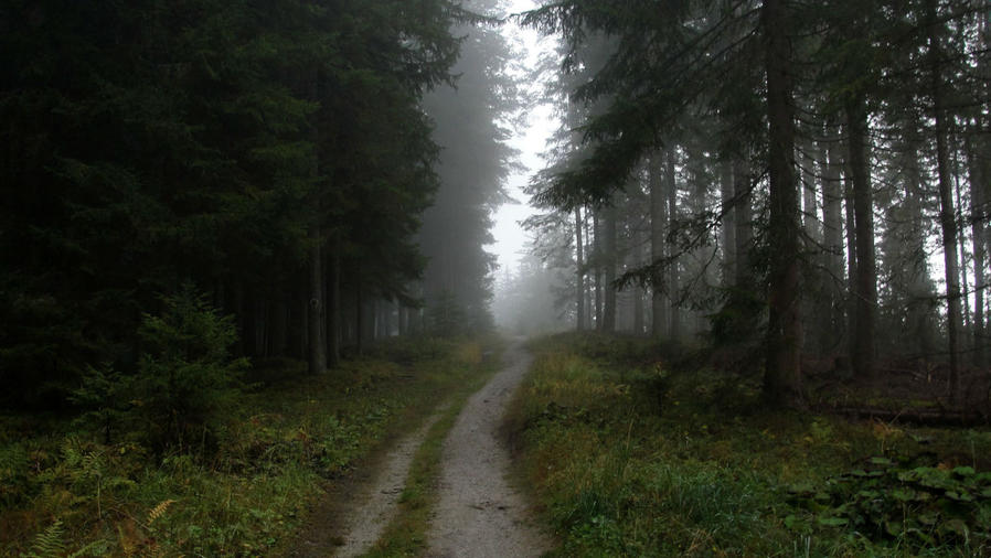 Осень в Альпах. Время возможностей Рамзау-ам-Дахштайн, Австрия