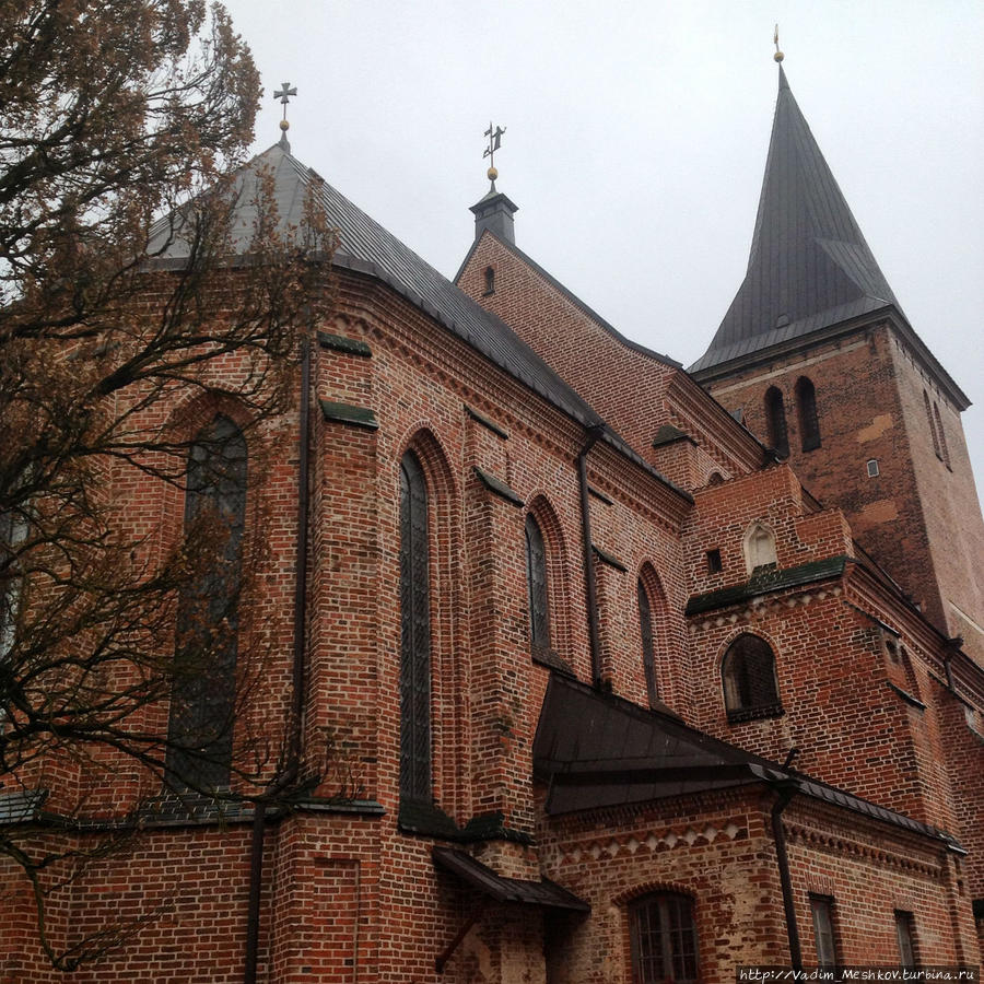 Кафедральный Собор города Тарту. Тарту, Эстония