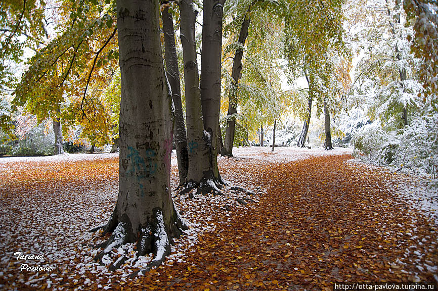 Зимняя осень в Мюнхене Мюнхен, Германия