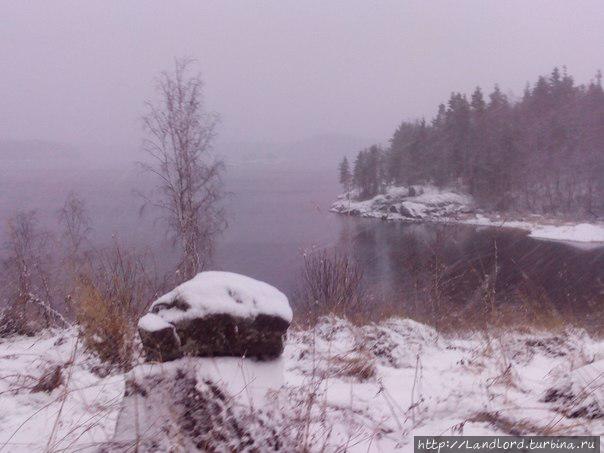 Зима пришла в карелию, декабрь разгулялся...Снегопад и безумная радость при виде этого пейзажа Республика Карелия, Россия