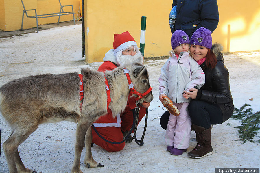 Дед мороз и Руди в Хельбрунне Зальцбург, Австрия Дед мороз и Руди в Хельбрунне Зальцбург, Австрия
