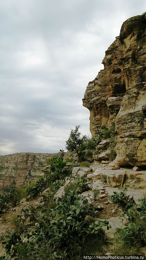 Разбойничье ущелье Senafe, Эритрея