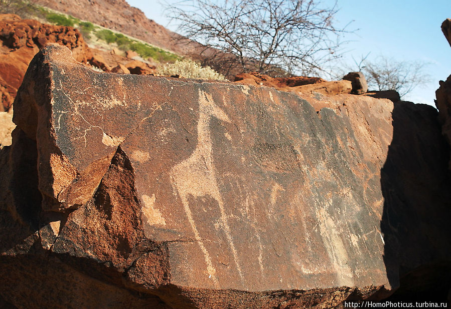 Тропой человека-льва Область Кунене, Намибия Тропой человека-льва Область Кунене, Намибия