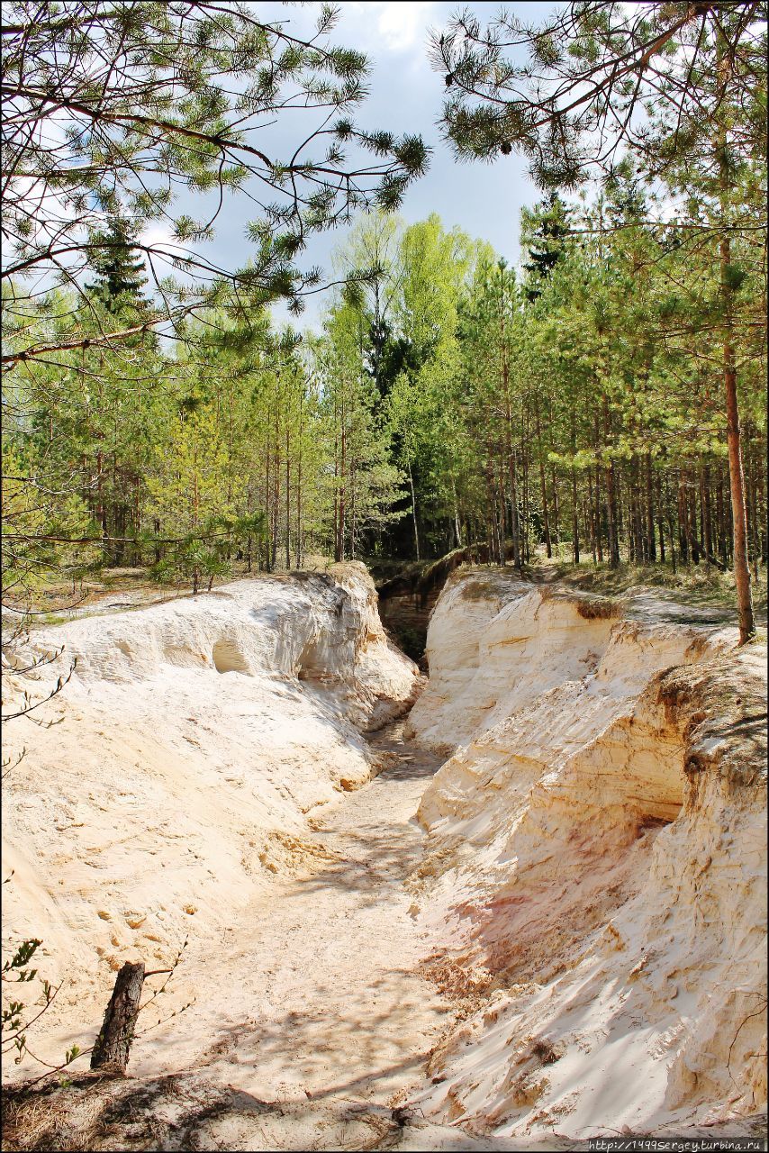 Малый Лужский каньон или История обычного лесного ручья Луга, Россия