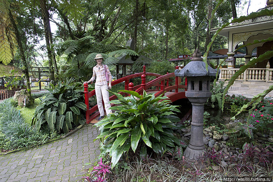 Дочка в парке. Дочка в парке.