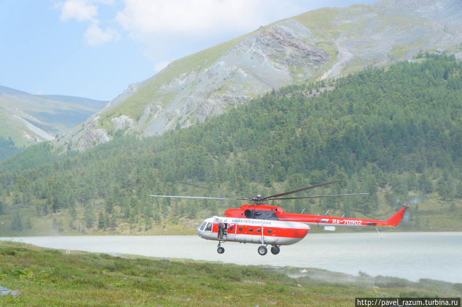 Способы перемещения Способы перемещения