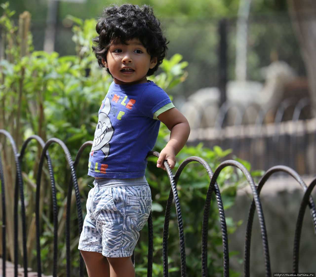 Зоопарк Лимы Лима, Перу Зоопарк Лимы Лима, Перу