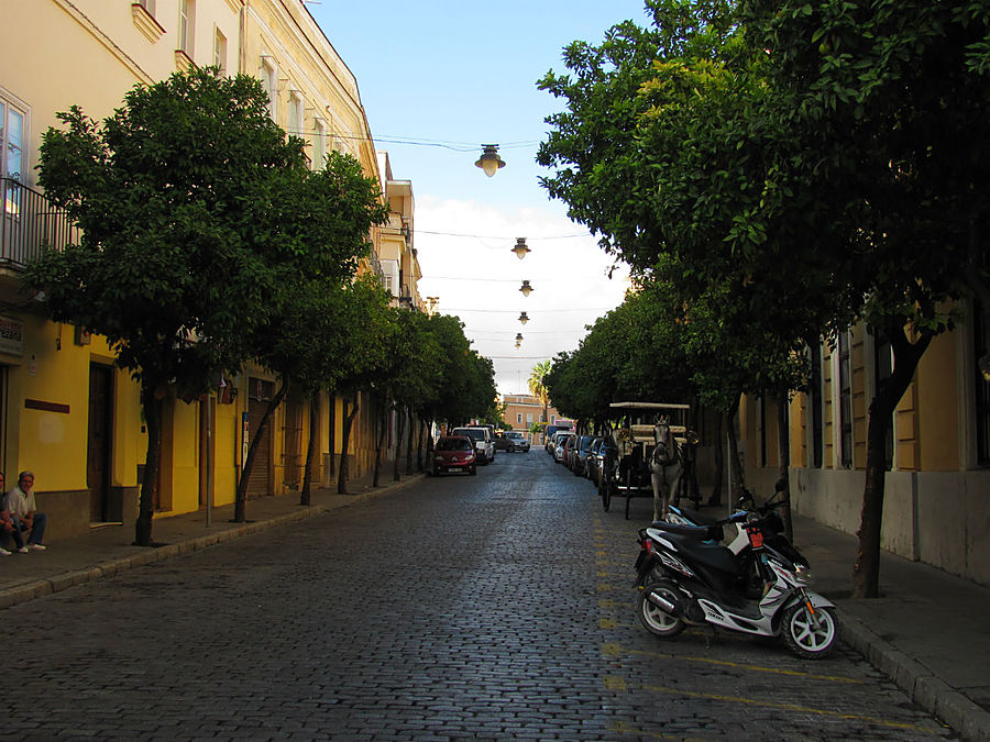 Утро. Херес августовский: Утро красит нежным светом.... Утро. Херес августовский: Утро красит нежным светом....