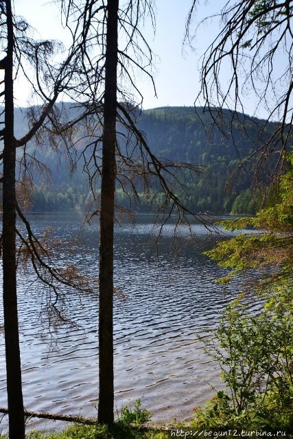 Ödensee: хочешь – купайся, хочешь – так гуляй Бад-Миттерндорф, Австрия