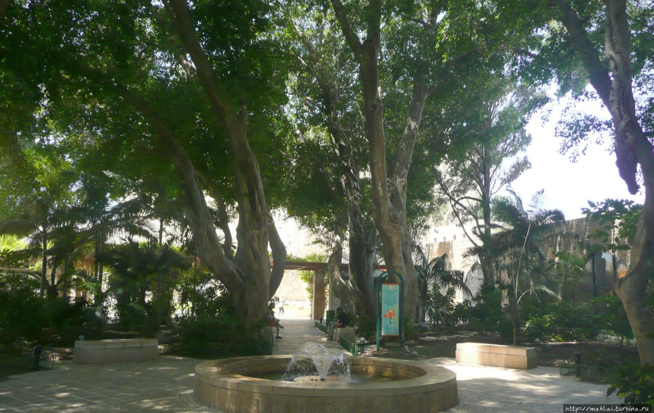 Волшебный сад (Оазис). Акко, Израиль