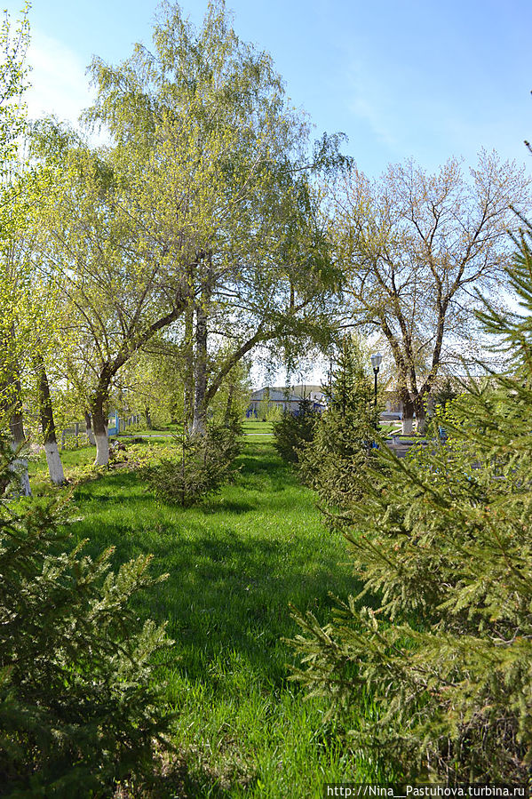 Наша робкая весна Оренбургская область, Россия Наша робкая весна Оренбургская область, Россия