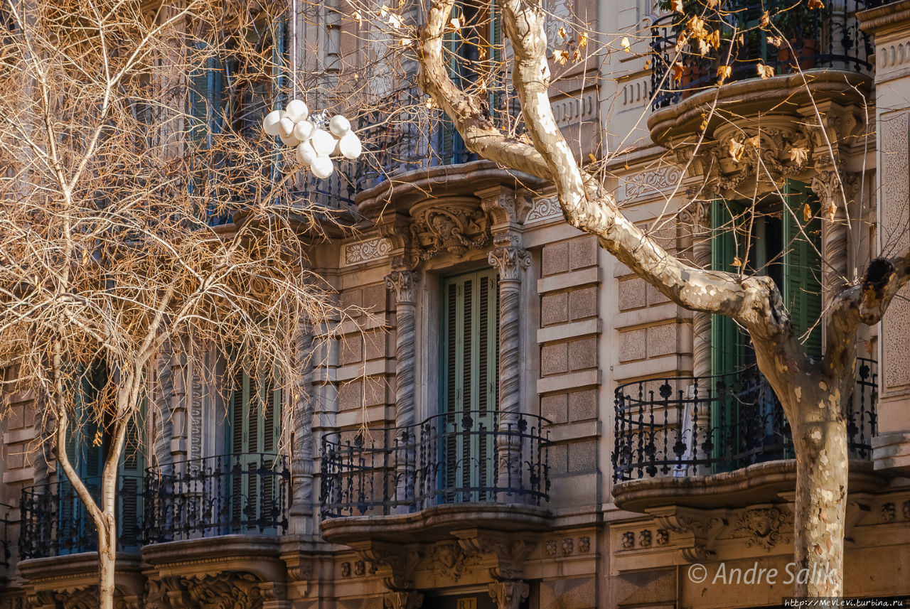 Hummus Barcelona Вегетарианский  рестороран Барселона, Испания