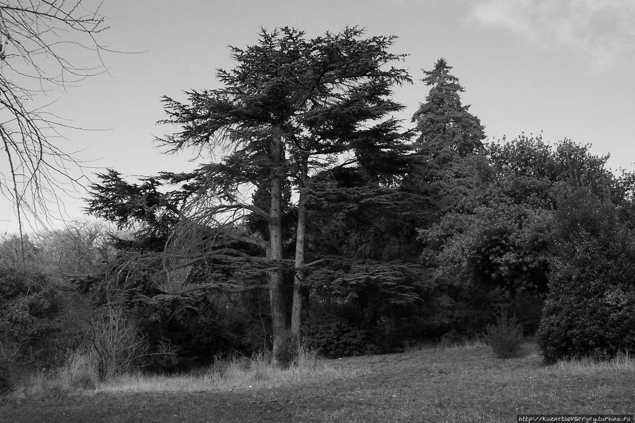 Парк Массандры (снимок 20 Парк Массандры (снимок 20