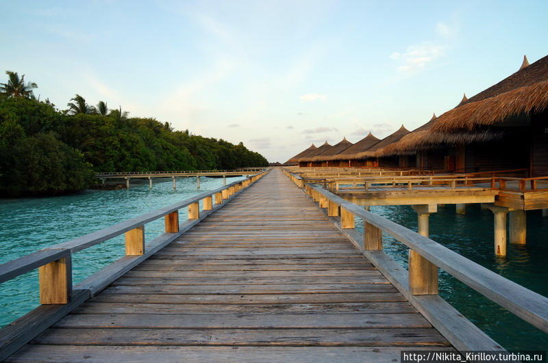 Каникулы на Мальдивах, часть 3 Мальдивские острова