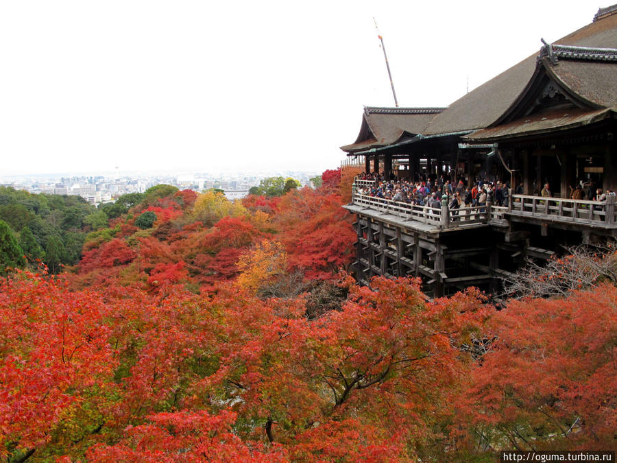 Одно из моих любимых мест в Киото — храм Киомизудера. Япония