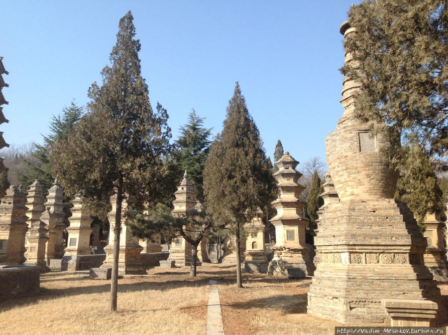 Талинь, что в переводе означает «Лес пагод», является местом захоронения настоятелей легендарного монастыря Шаолинь, выдающихся мастеров ушу. Шаолинь, Китай
