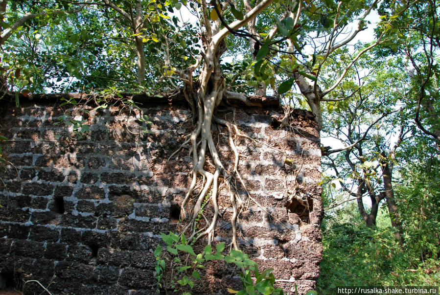 Форт Рэди, храм Рэди Арамболь, Индия
