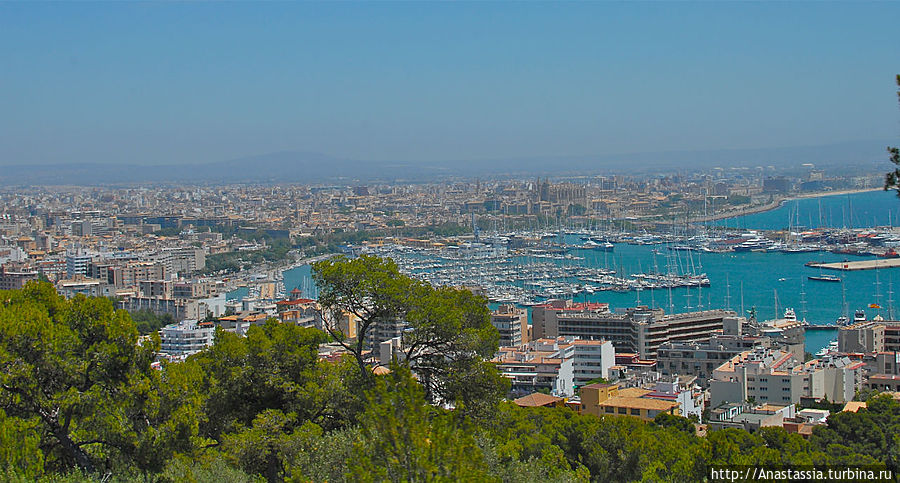 Зеленая, удобная, красивая, роскошная  Майорка Остров Майорка, Испания