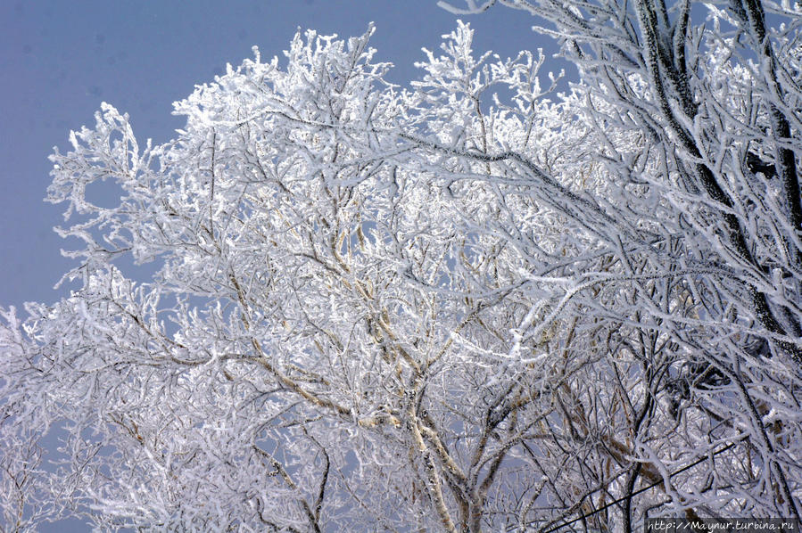 Зимние зарисовки Южно-Сахалинск, Россия Зимние зарисовки Южно-Сахалинск, Россия