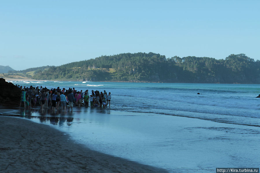 Hahei Hot water beach Район Уайкато, Новая Зеландия