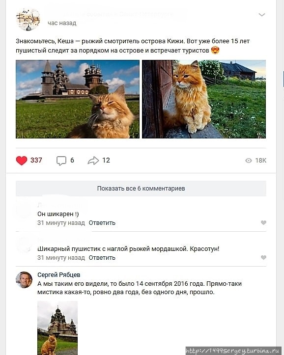 Кошки и мистика Санкт-Петербург и Ленинградская область, Россия