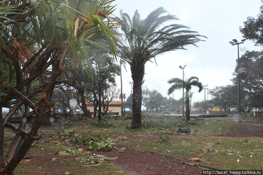 Последствия стихии Сен-Дени, Реюньон Последствия стихии Сен-Дени, Реюньон