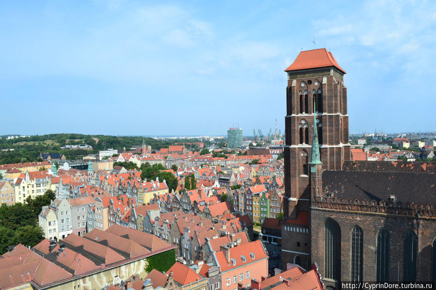 Башня Ратуши Гданьск, Польша Башня Ратуши Гданьск, Польша