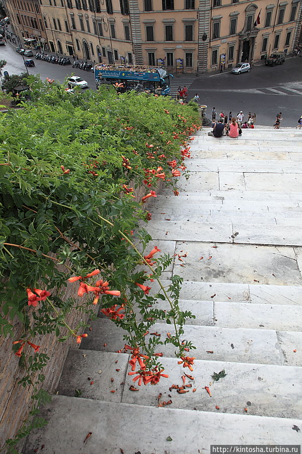 Уровни головокружения. Очень люблю лестницу, ведущую к Санта Мария ди Арачели Уровни головокружения. Очень люблю лестницу, ведущую к Санта Мария ди Арачели