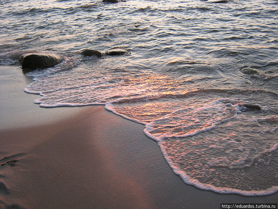 А Вы когда нибудь рассматривали на пляже песок? Светлогорск, Россия