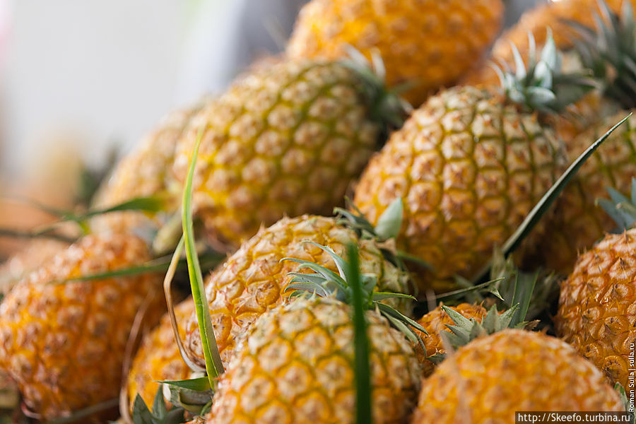 Ананасы – достопримечательность Азорских островов. Продаётся на местном рынке. Эти ананасы выращиваются на островах, в теплицах. Они вкусны, сочны и, что отличает их от привычных нам, их можно съесть целиком — у них нет жесткой сердцевины.