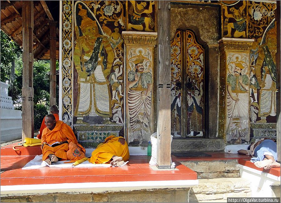 *Как известно, в буддизме буддой может стать любой, кто достигнет просветления, накопив большое количество положительной кармы, и откроет истину Канди, Шри-Ланка