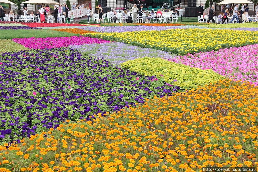 Благоухающий ковер Красной площади Москва, Россия Благоухающий ковер Красной площади Москва, Россия