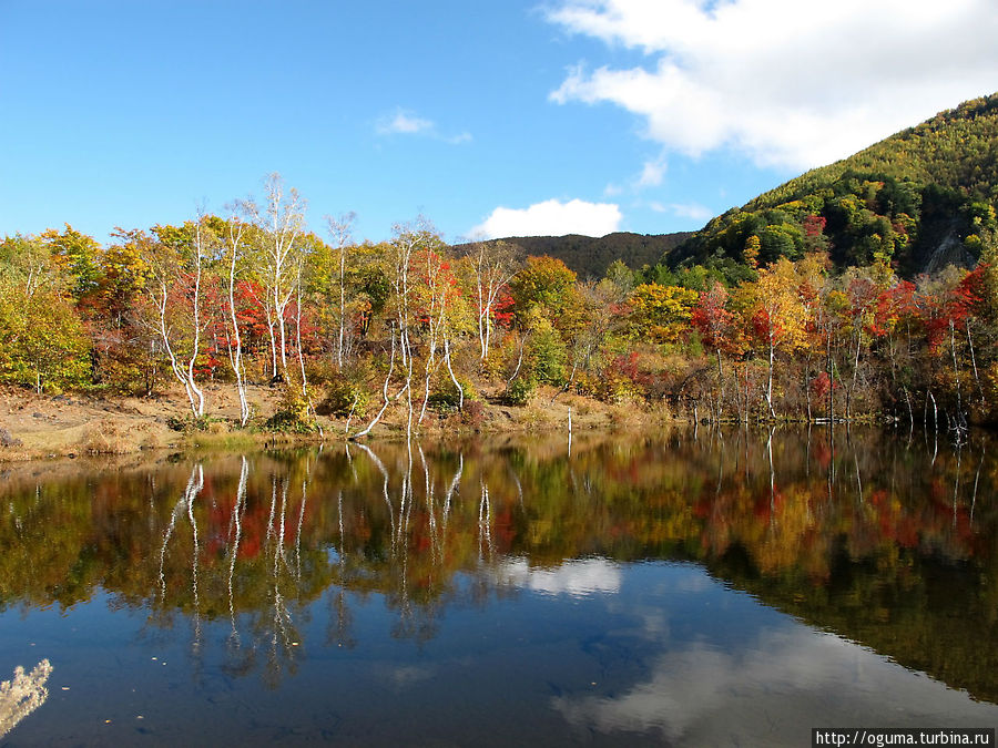 Осень на высокогорье Норикура Префектура Нагано, Япония