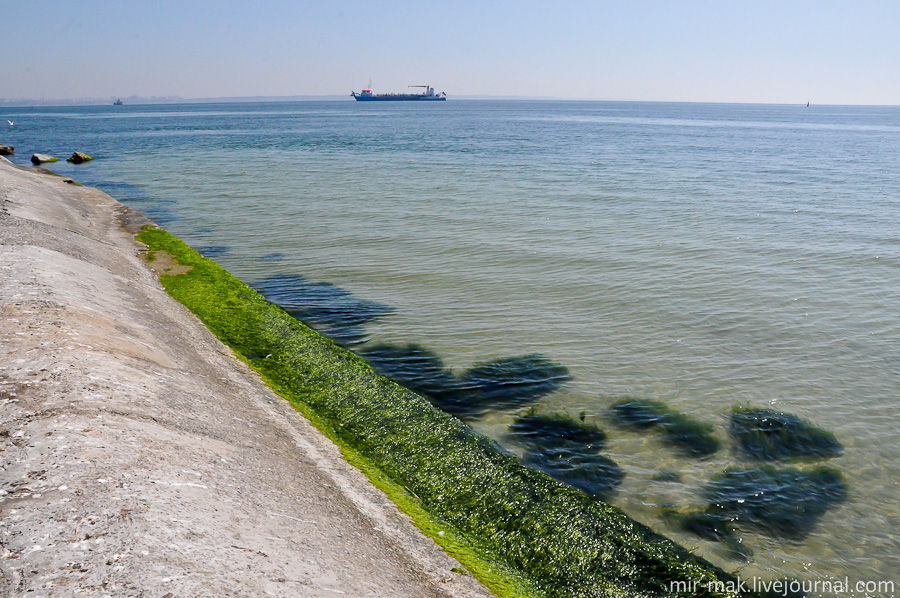 Очень часто в одесскую гавань заплывают дельфины, но, к сожалению, за все время, проведенное на маяке, мне удалось лишь раз увидеть вдалеке заветный плавник , запечатлеть его, конечно же, я не успел. Но дельфины есть, точно говорю! Очень часто в одесскую гавань заплывают дельфины, но, к сожалению, за все время, проведенное на маяке, мне удалось лишь раз увидеть вдалеке заветный плавник , запечатлеть его, конечно же, я не успел. Но дельфины есть, точно говорю!